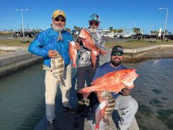 Inshore adventure: chasing red snapper